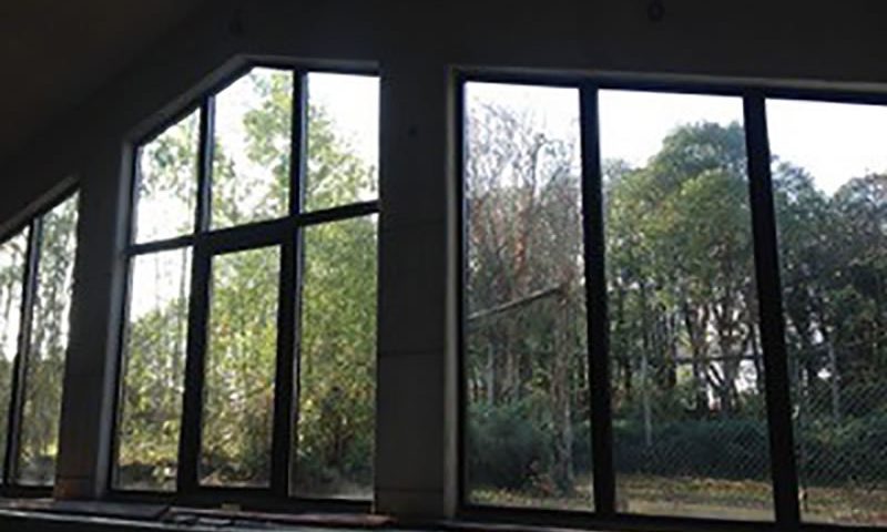 baie vitrée arbre - vue piscine - centre aquatique - club aquagym